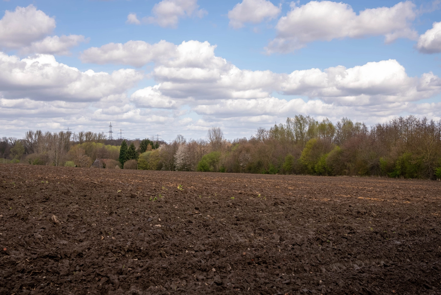 Alpakahof Dingen – Alpaka-Trekking – Das Bild zeigt eine ländliche Bauernhofszene mit Alpakas in einem hölzernen Unterstand und Gehege.
