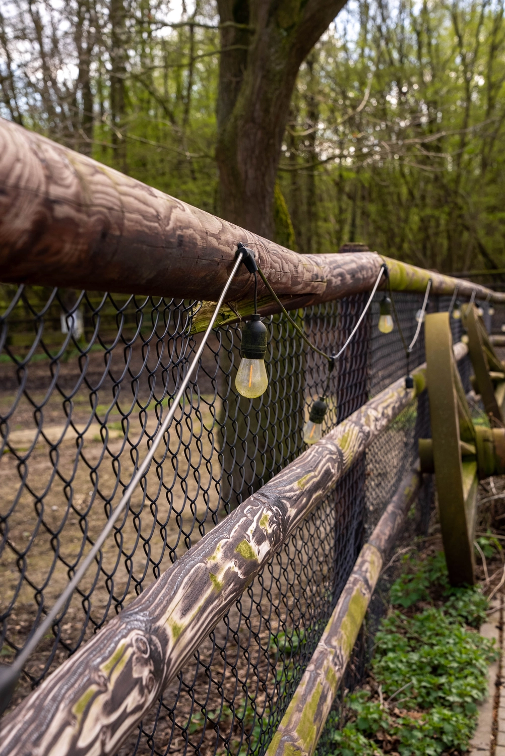 Alpakahof Dingen – Alpaka-Trekking – Das Bild zeigt eine ländliche Bauernhofszene mit Alpakas in einem hölzernen Unterstand und Gehege.